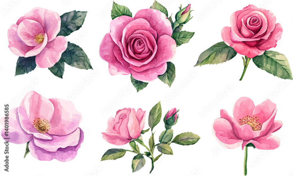 set of pink roses vector set of pink roses vector