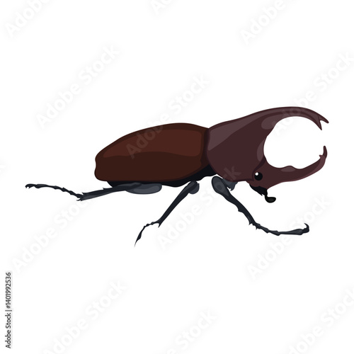 Vector illustration of hercules beetle in cartoon flat style minimalist. Black or brown beetle with detailed horns, animal insects. Perfect for entomology education and natural science materials.