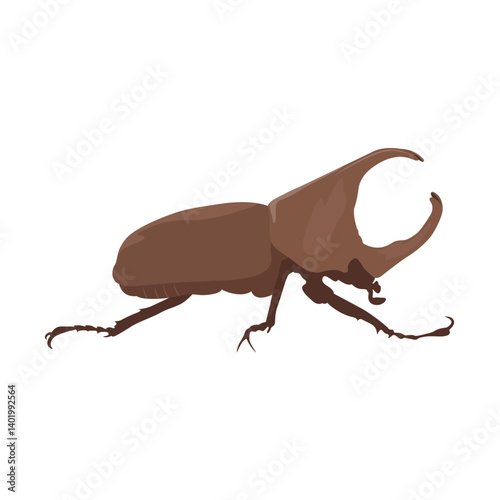 Vector illustration of hercules beetle in cartoon flat style minimalist. Black or brown beetle with detailed horns, animal insects. Perfect for entomology education and natural science materials.
