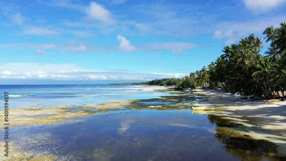 Pristine beaches and flourishing palm trees mark Siquijor Island, Asia, Philippines, Bohol Island, near Panglao, in summer, on a sunny day. Pristine beaches and flourishing palm trees mark Siquijor Island, Asia, Philippines, Bohol Island, near Panglao, in summer, on a sunny day.