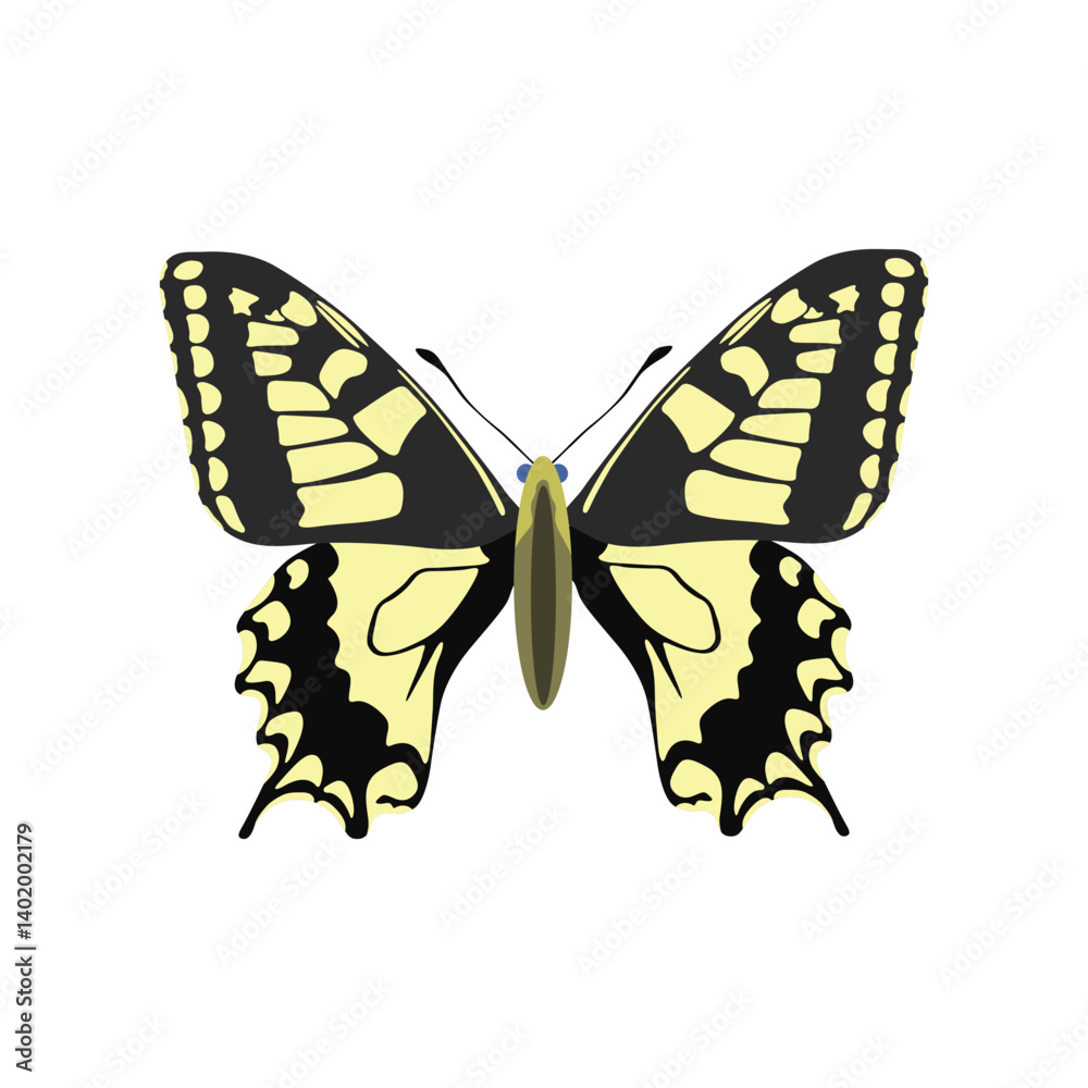 Fototapeta premium Vector illustration of butterfy in cartoon flat style. Perfect for educational and scientific projects, entomology, and biology content. Exotic insect animal