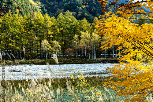 Obraz na płótnie captures the breathtaking beauty of Kamikochi, a mountainous highland valley in the Northern Japan Alps. w salonie