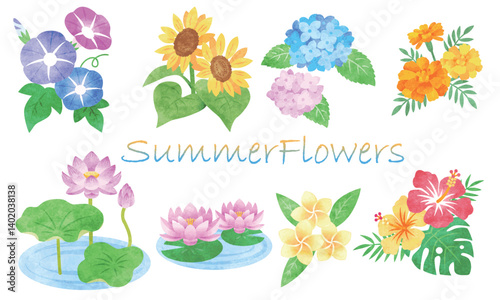 手描き水彩風　夏の花イラストセット