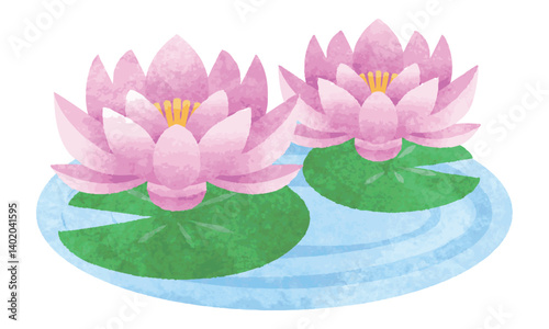 手描き水彩風　睡蓮の花　イラスト