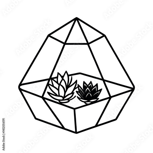 Geometric Succulent Terrarium Design