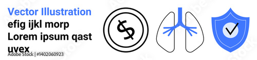Dollar icon highlights finance, lungs represent health, and shield with checkmark reflects security. Ideal for healthcare, insurance, protection, economy, risk management, cybersecurity and abstract