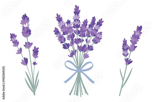 Lavender Bouquets A Collection of Blooming Floral Beauty