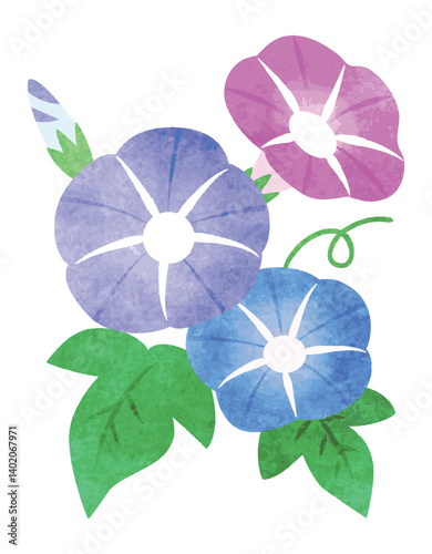 手描き水彩風　 朝顔の花　イラスト