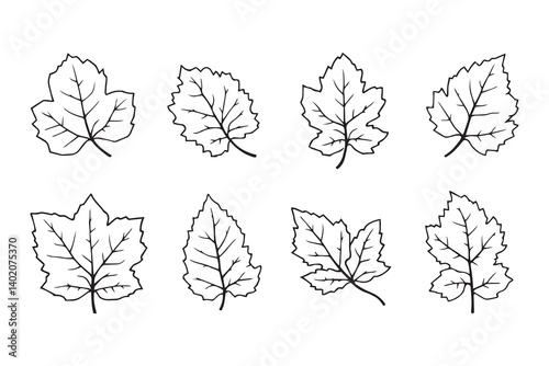 Amaranth leaf line art