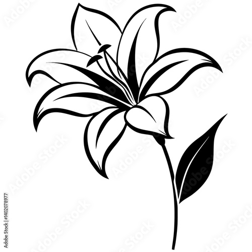 A graceful vector silhouette of a lily flower