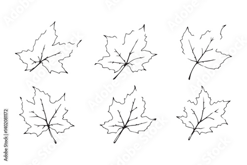 Aspen leaf line art