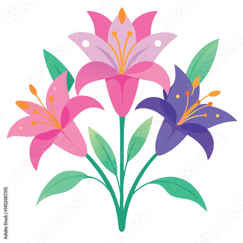 Colorful monsoon lily flowers vibrant pink 