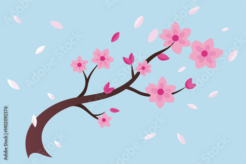 cherry blossom in spring