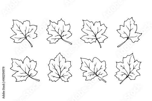 Set of 6 pec in two row  Blackcurrant Leaf line art on white background