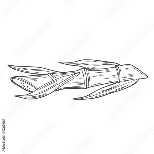 Sugar cane plant and leaves sketch vector illustration. Natural organic sweetener. Hand drawn isolated design elements.