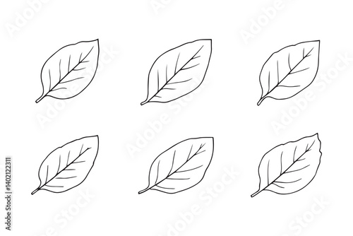 Set of 6 pec in two row  Blueberry Leaf line art on white background