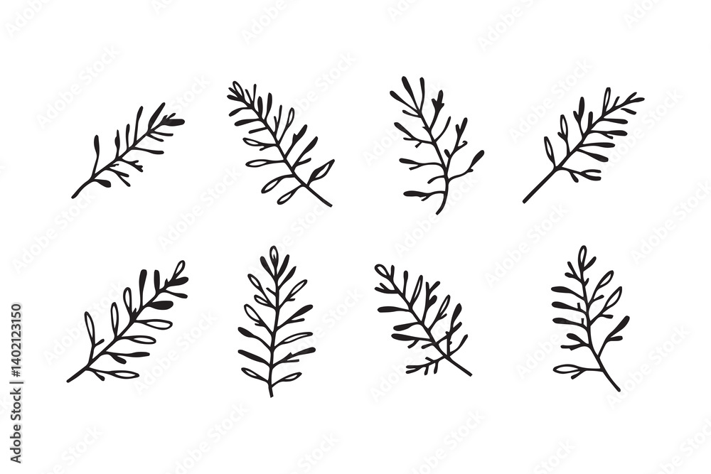 Set of 6 pec in two row Bottlebrush Leaf line art on white background Set of 6 pec in two row Bottlebrush Leaf line art on white background