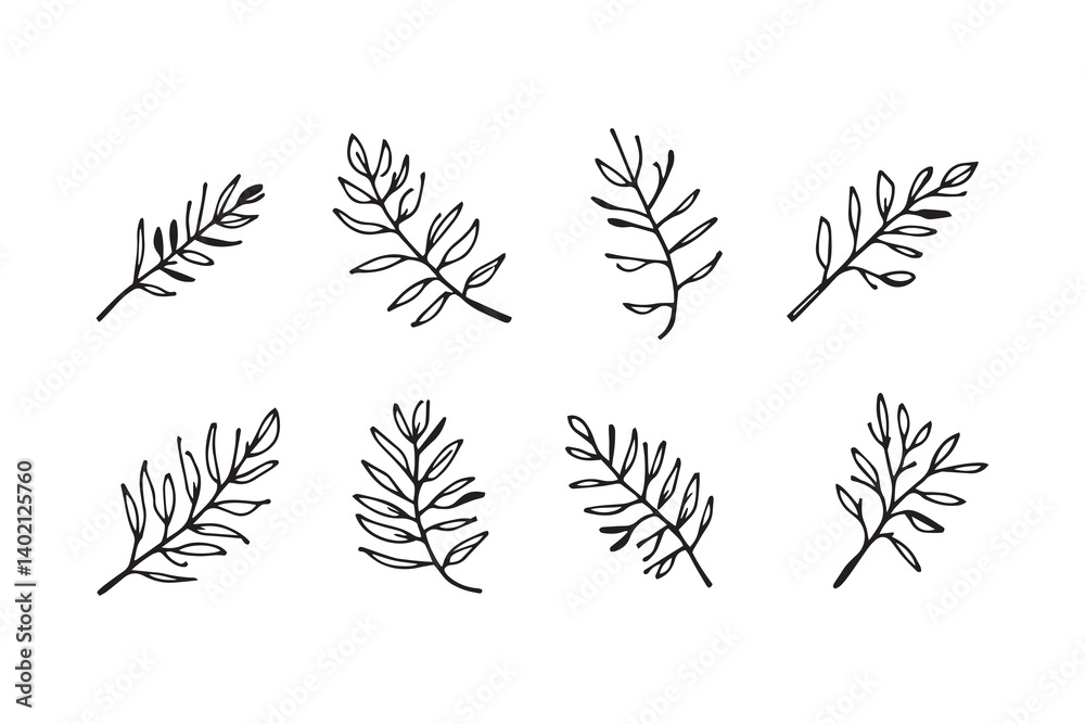 Set of 6 pec in two row Bottlebrush Leaf line art on white background Set of 6 pec in two row Bottlebrush Leaf line art on white background