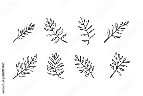 Set of 6 pec in two row  Bottlebrush  Leaf line art on white background