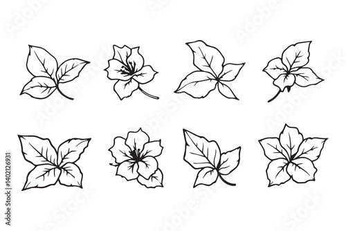 Set of 6 pec in two row  Bougainvillea Leaf line art on white background