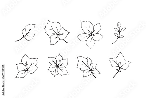 Set of 6 pec in two row  Bougainvillea Leaf line art on white background