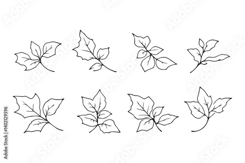 Set of 6 pec in two row  Bougainvillea Leaf line art on white background 