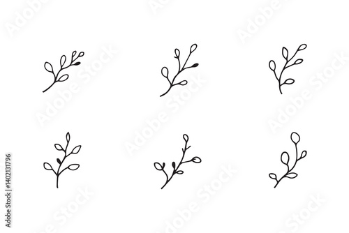 Set of 6 pec in two row  Acacia leaf line art on white background