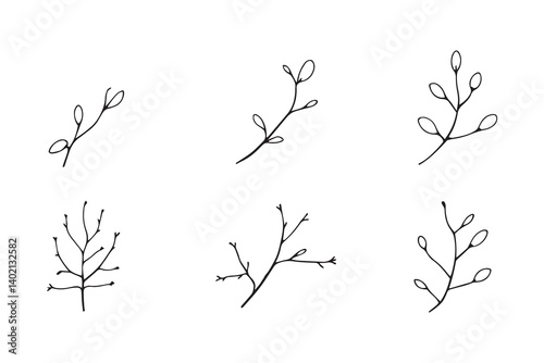 Set of 6 pec in two row  Acacia leaf line art on white background