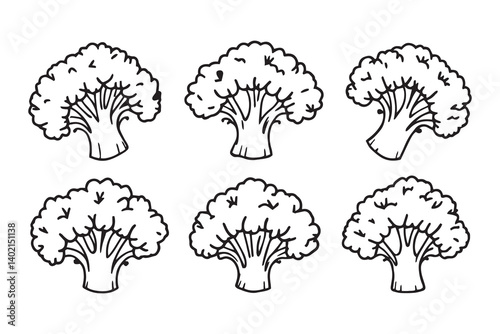 Set of 6 pec in two row  Broccoli Leaf line art on white background