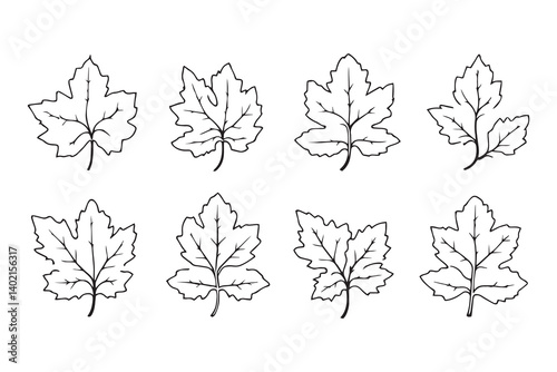 Set of 6 pec in two row  Burdock Leaf line art on white background 