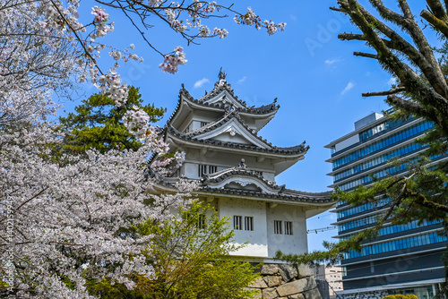 Schilderij op canvas 桜と津城 三重県津市 日本