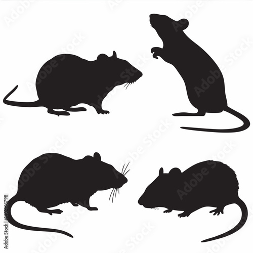 Four sleek rat silhouettes, a study in posture and shadow, creating a stark yet captivating visual.