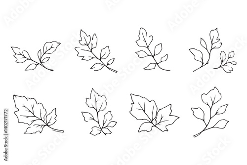 Set of 6 pec in two row  Camphor Leaf line art on white background 