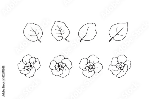 Set of 6 pec in two row  Camellia Leaf line art on white background