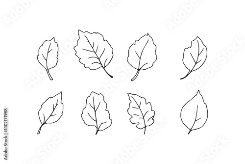 Set of 6 pec in two row  Camphor Leaf line art on white background