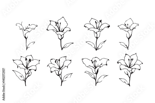 Set of 6 pec in two row  Canna Lily line art on white background