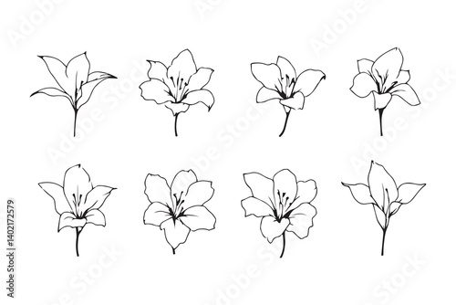 Set of 6 pec in two row  Canna Lily line art on white background