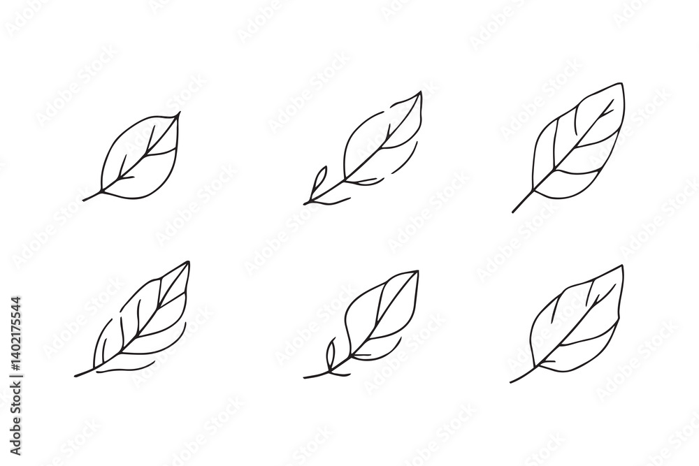 Set of 6 pec in two row Cardamom Leaf line art on white background Set of 6 pec in two row Cardamom Leaf line art on white background