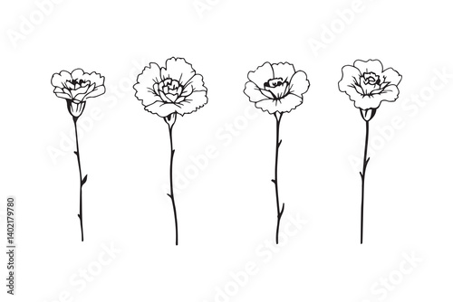 Set of 6 pec in two row  Carnation black line art on white background