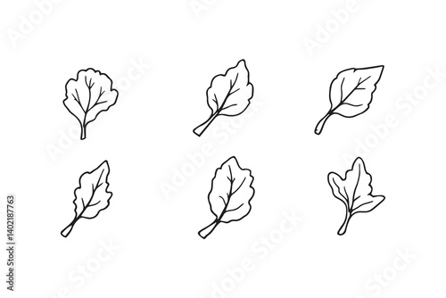 Set of 6 pec in two row  Cassava  Leaf line art on white background