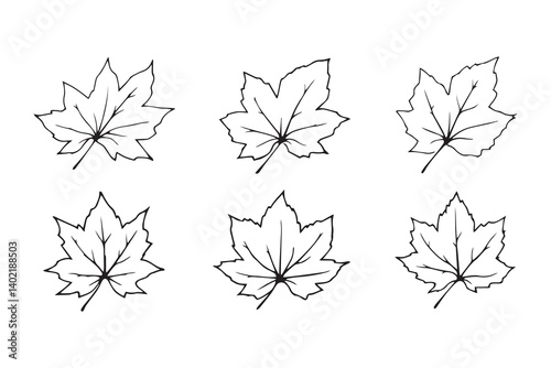 Set of 6 pec in two row  Castor Leaf line art on white background