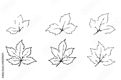 Set of 6 pec in two row  Castor Leaf line art on white background 