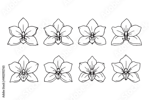Set of 6 pec in two row  Cattleya line art on white background_.eps