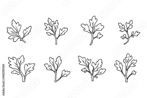 Set of 6 pec in two row  Celery Leaf line art on white background