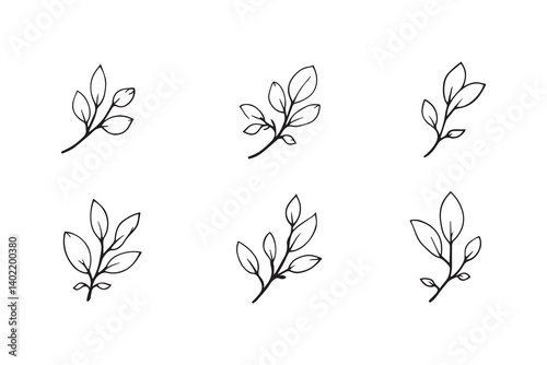 Set of 6 pec in two row  Chamomile Leaf line art on white background 