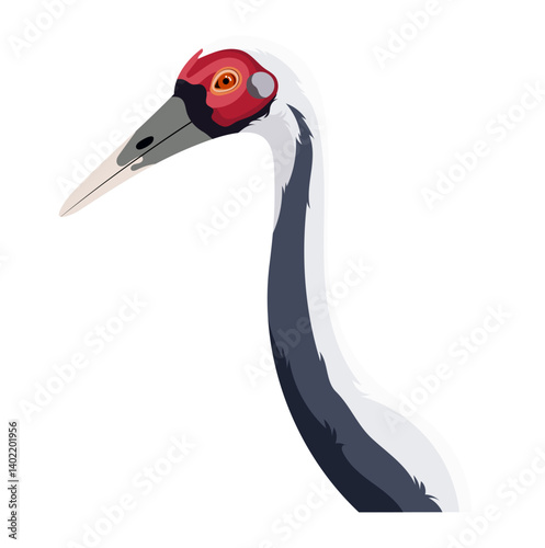 Crane Bird or Heron Bird Animal Portrait Illustration Isolated on White Background