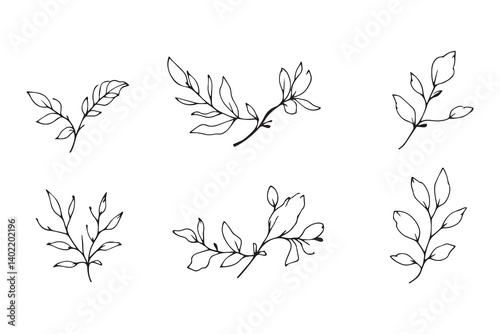 Set of 6 pec in two row  Chamomile Leaf line art on white background 