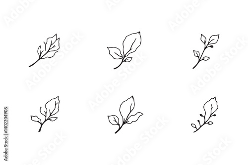 Set of 6 pec in two row  Cherry  Leaf line art on white background