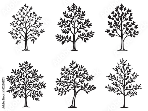 Colosseum Clear Line Art Pack