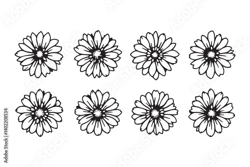 Set of 6 pec in two row  Chrysanthemum black line art on white background